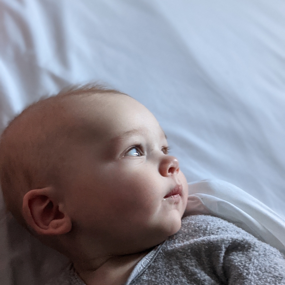 Meet your Posher, Robin